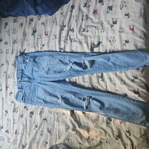 Arizona Jean Co, size 7 HI-RISE curvy skinny